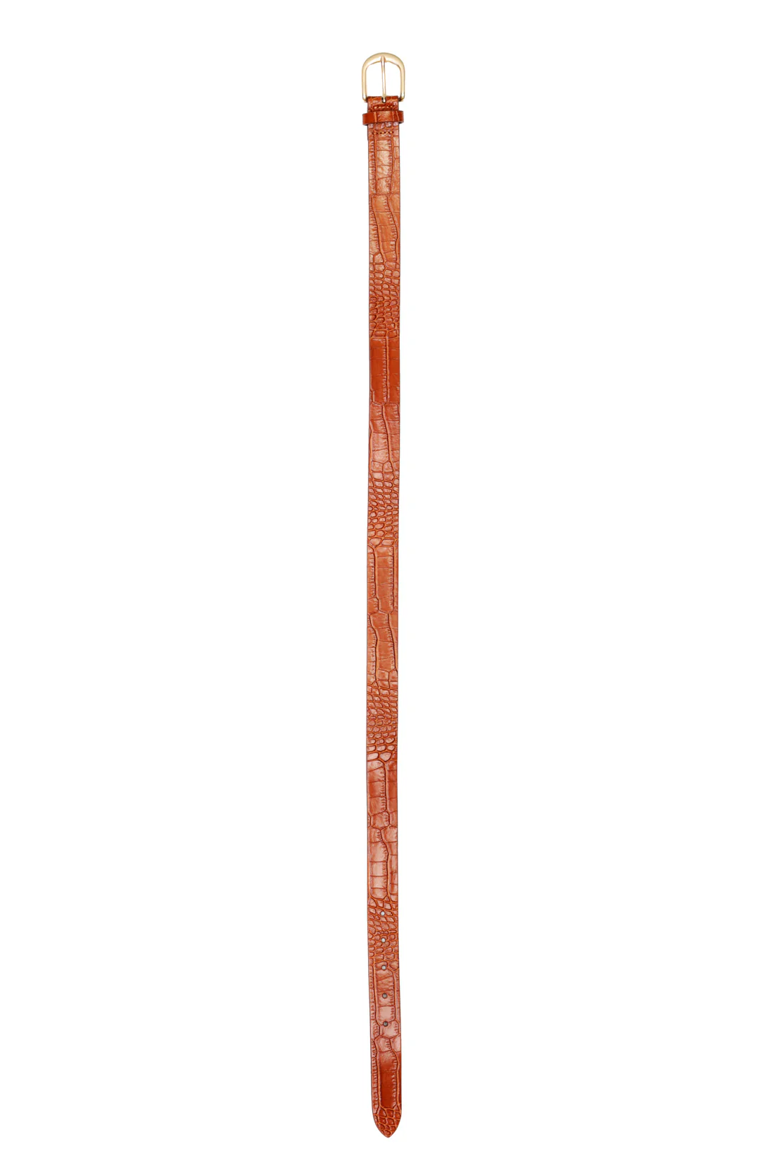 Amadeus - Ceinture - Image 7